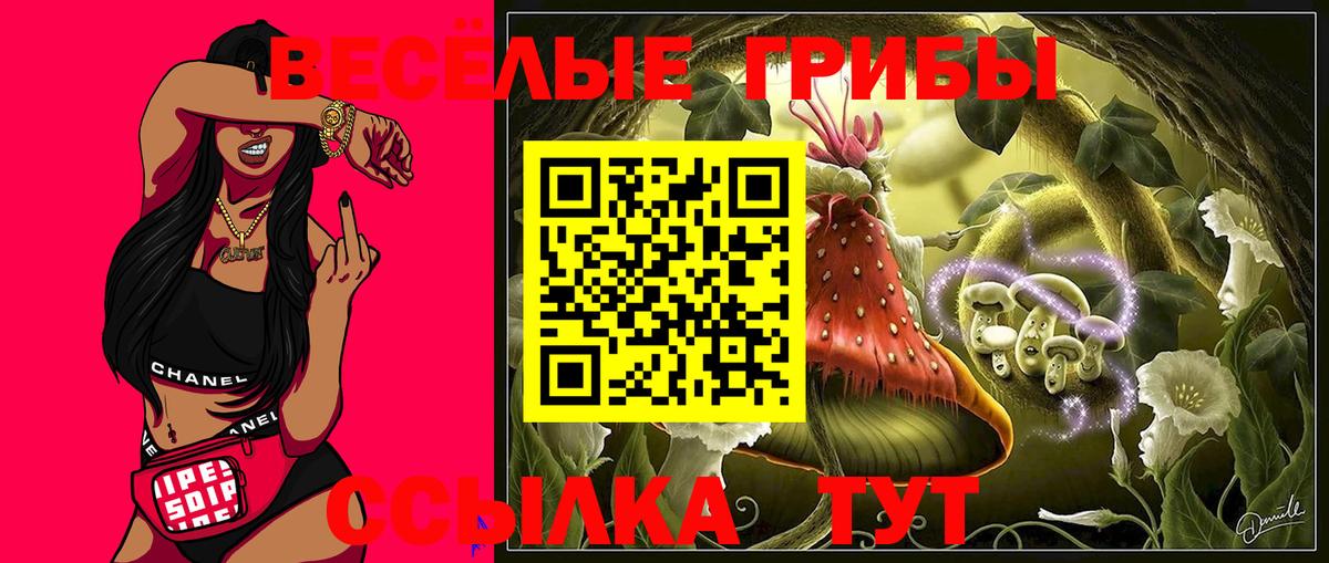 Аргун  Псилоцибиновые грибы Cubensis  Вход с VPN 